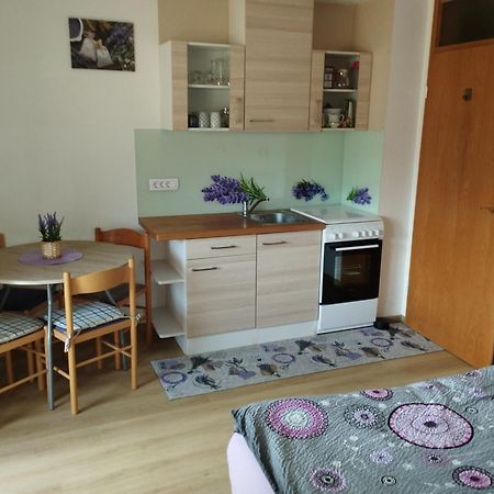 Apartmaji Verica Ceklin Бохин Екстериор снимка